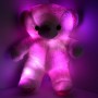 teddy that lights up