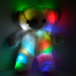 teddy bear with light up eyes