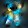 LED light up Teddy Bear the perfect gift!