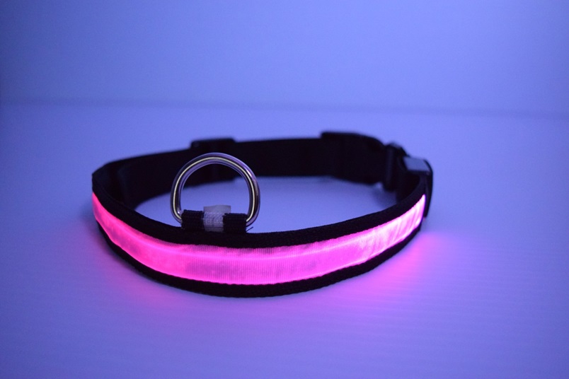 purple led dog collar