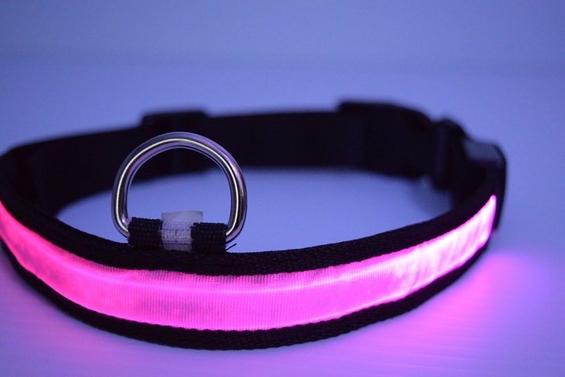 led dog collar purple 2