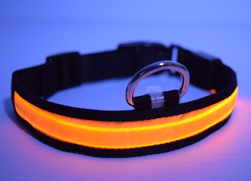 led dog collar yellow 2