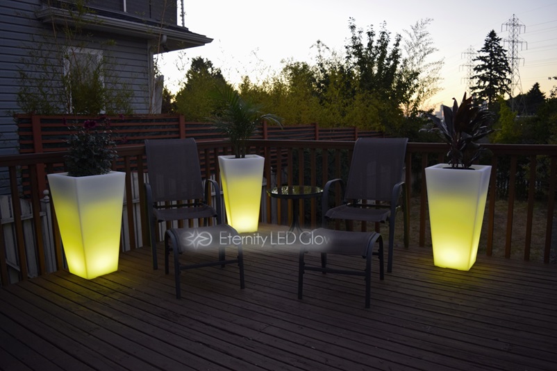 glow yellow flower pot