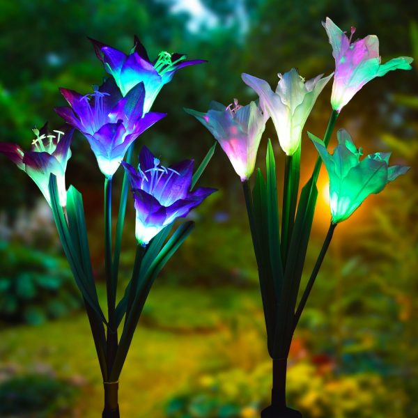 LED Light up garden flowers - Solar Powered garden flower Lights ...